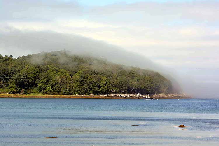 fog rolling in